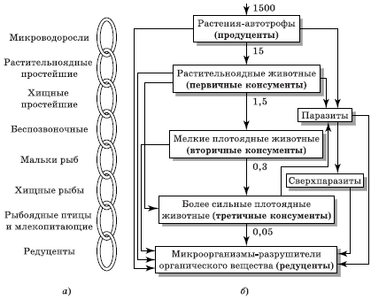 buy Судебная психиатрия: Контрольные работы 2006