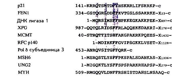 epub interanimations receiving modern german