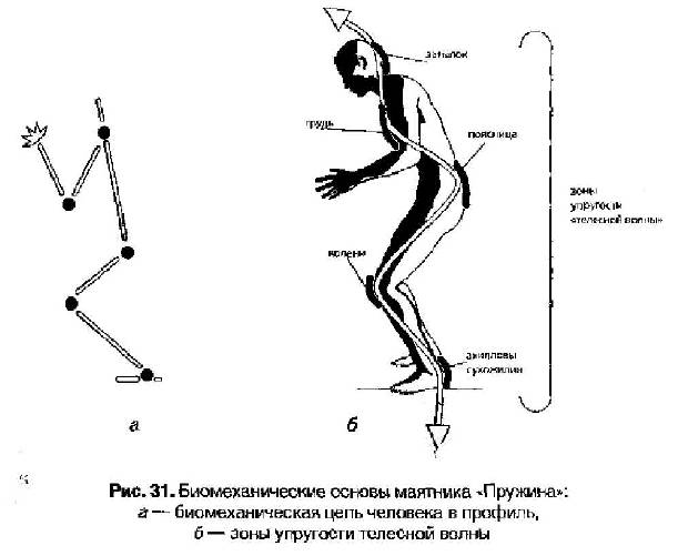 Биомеханика физических упражнений. Кинематическая цепь в биомеханике. Кинетические цепи в биомеханике. Биомеханика движений человека.