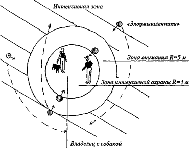 Зона внимания. Тактика телохранителей. Схема работы телохранителей. Тактика работы личной охраны. Личная охрана схема.