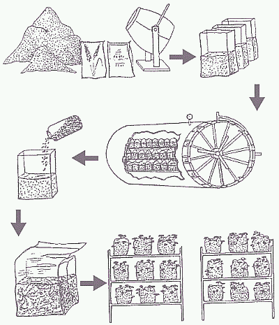 Схема выращивания вешенок