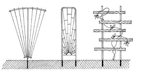 Чертеж опоры для клематиса