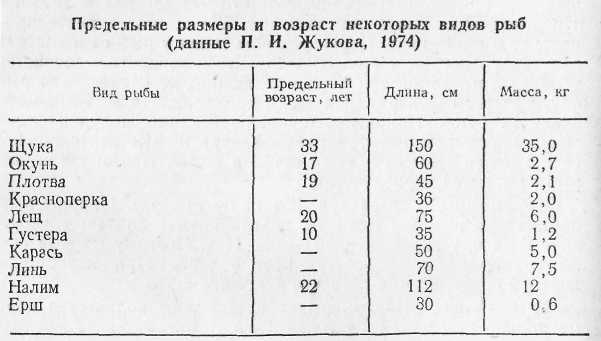 Возраст рыбы. Длина щуки и вес таблица. Размер щуки по годам таблица. Таблица роста щуки. Вес и Возраст щуки.