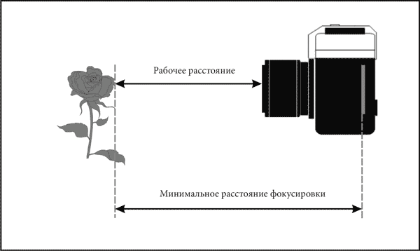 Рабочее расстояние. Дистанция фокусировки объектива. Минимальная дистанция фокусировки. Расстояние фокусировки. Минимальное расстояние фокусировки объектива.