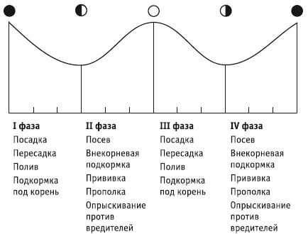 В какой фазе лучше