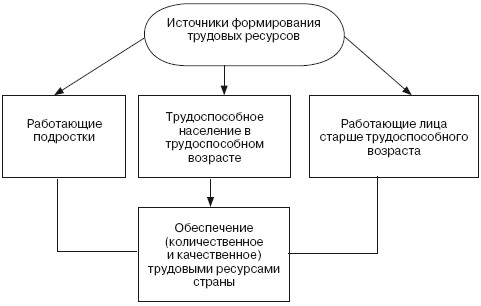 Управление трудовыми ресурсами в проекте курсовая