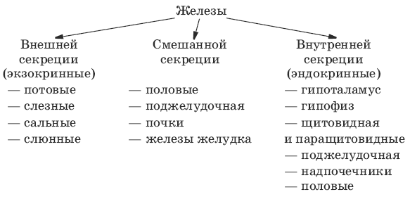 Железы внутренней секреции таблица. Железы внутренней и внешней секреции таблица. Таблица желез внешней секреции. Таблица желез внутренней и внешней секреции. Железы внутренней внешней и смешанной секреции таблица.