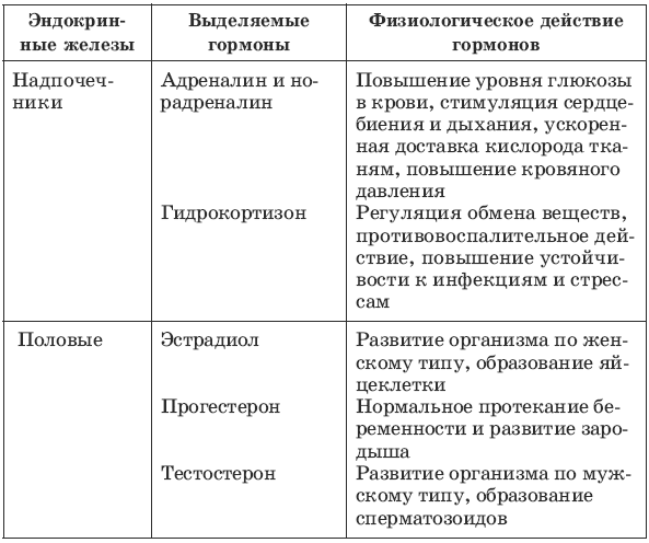 Составьте развернутый план параграфа биология 8 класс