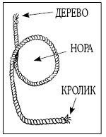 Как называется временная петля