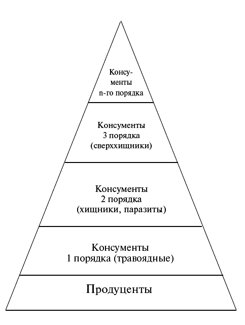 Пирамида энергии рисунок