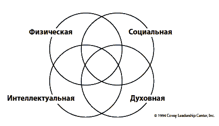 Физическая интеллектуальная эмоциональная. Физическое эмоциональное ментальное и духовное. Социальная эмоциональная, физическая интеллектуальная. Физическая интеллектуальная социально-эмоциональная духовная сферы. Интеллектуальное духовное физическое.