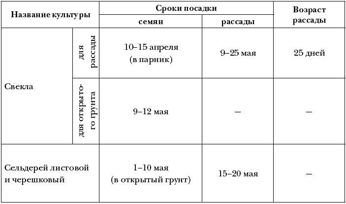 Схема посадки моркови и свеклы